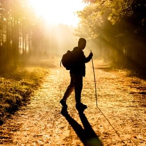 Man walking in park at sunrise