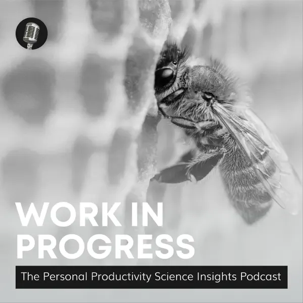 Work in Progress podcast with Steven Puri about remote productivity